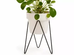 Bendo Pots & Hanging Baskets 'SPROUT' Plant Stand Mini & Small Pot Bundle