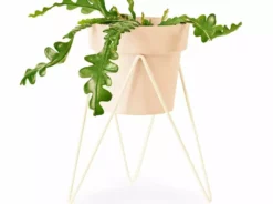 Bendo Pots & Hanging Baskets 'SPROUT' Plant Stand Mini & Small Pot Bundle