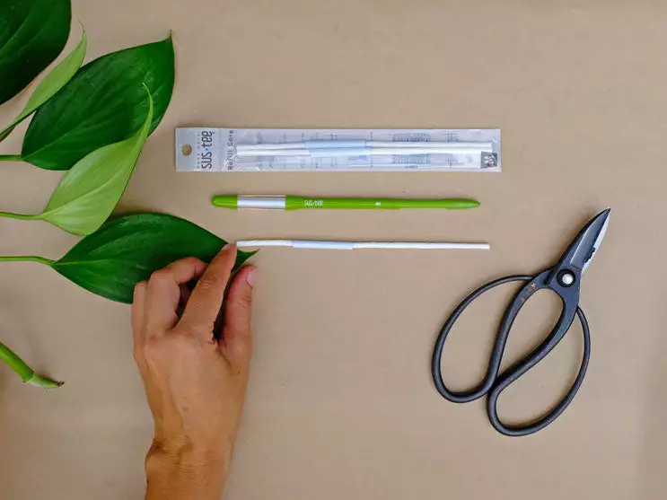 Gift Kits 2 Sustees + 2 Refills Bundle 10 Gift Kits 2 Sustees + 2 Refills Bundle