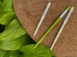 Sustee Houseplant 'when To Water Device' Sustee Watering Device