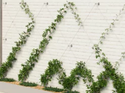 Pro Rig Outdoor Living Stainless Steel Trellis Kit For Climbing Plants