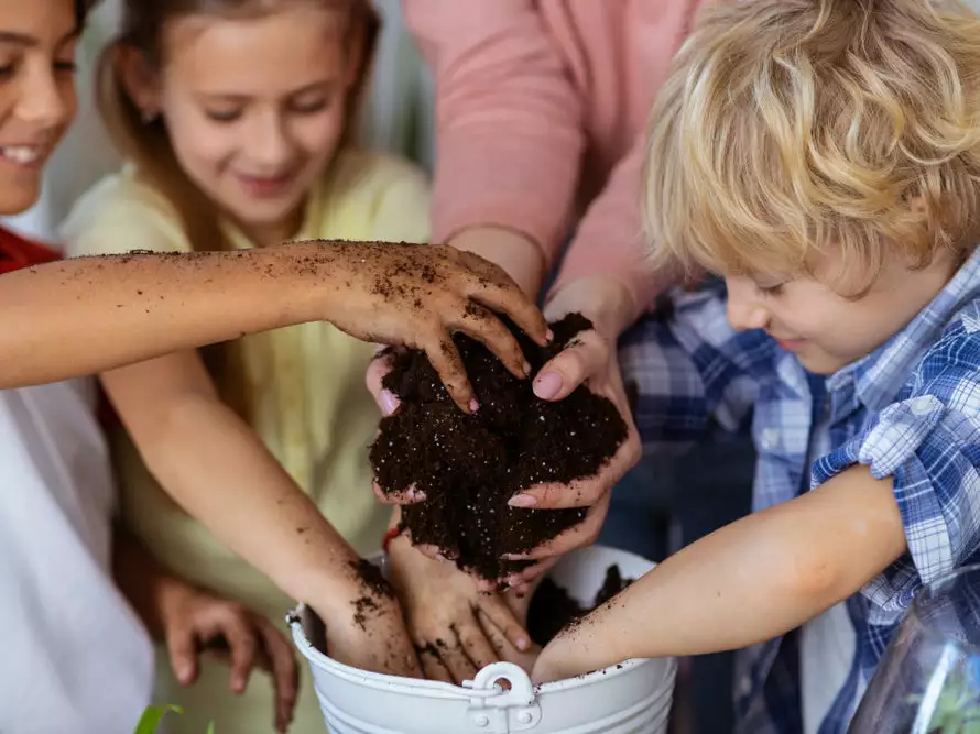 Indoor Garden The Teachers Classroom Houseplant Pack 15 Indoor Garden The Teachers Classroom Houseplant Pack