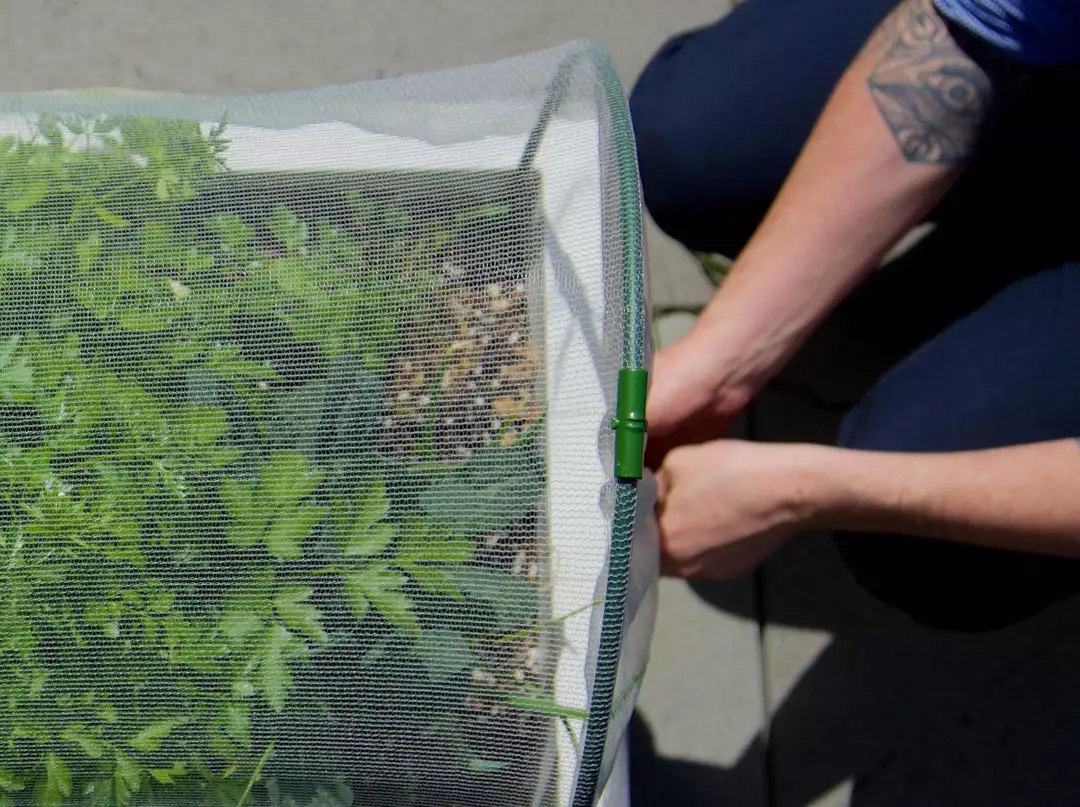 GLOWPEAR PTY LTD Soft Top Outdoor Living 4 GLOWPEAR PTY LTD Soft Top Outdoor Living