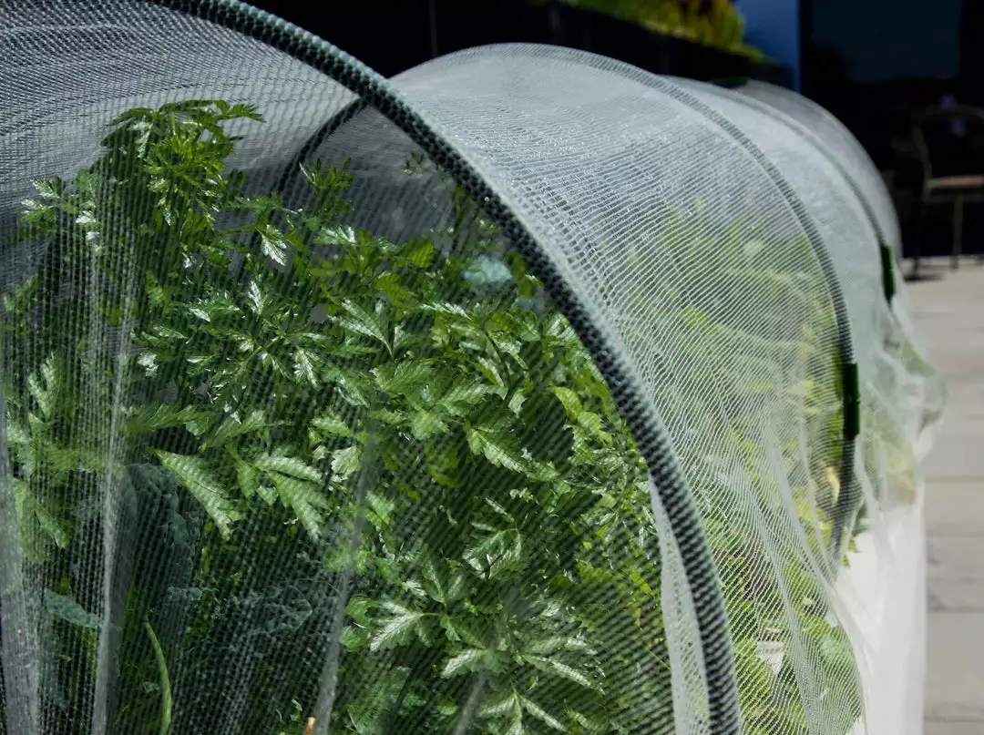 GLOWPEAR PTY LTD Soft Top Outdoor Living 6 GLOWPEAR PTY LTD Soft Top Outdoor Living