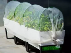 GLOWPEAR PTY LTD Soft Top Outdoor Living