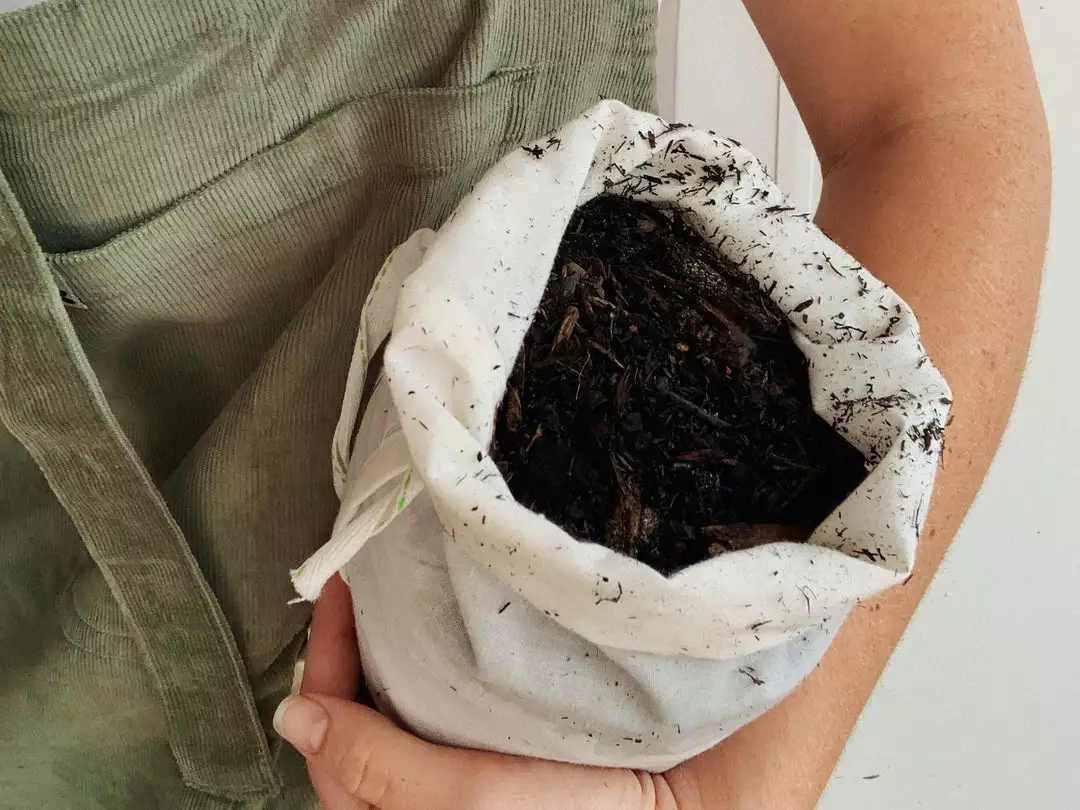 Pot + Plant Gift Box Monstera Deliciosa Tauerii - Pot + Plant + Soil Birthday 17 Pot + Plant Gift Box Monstera Deliciosa Tauerii - Pot + Plant + Soil Birthday