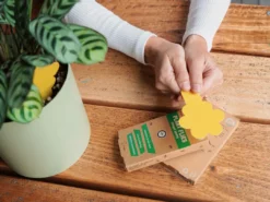 Super Ninja Fungal Gnat Sticky Traps 🦟 Pest Control