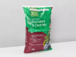 Rocky Point Bonsai Cacti Succulent Soil