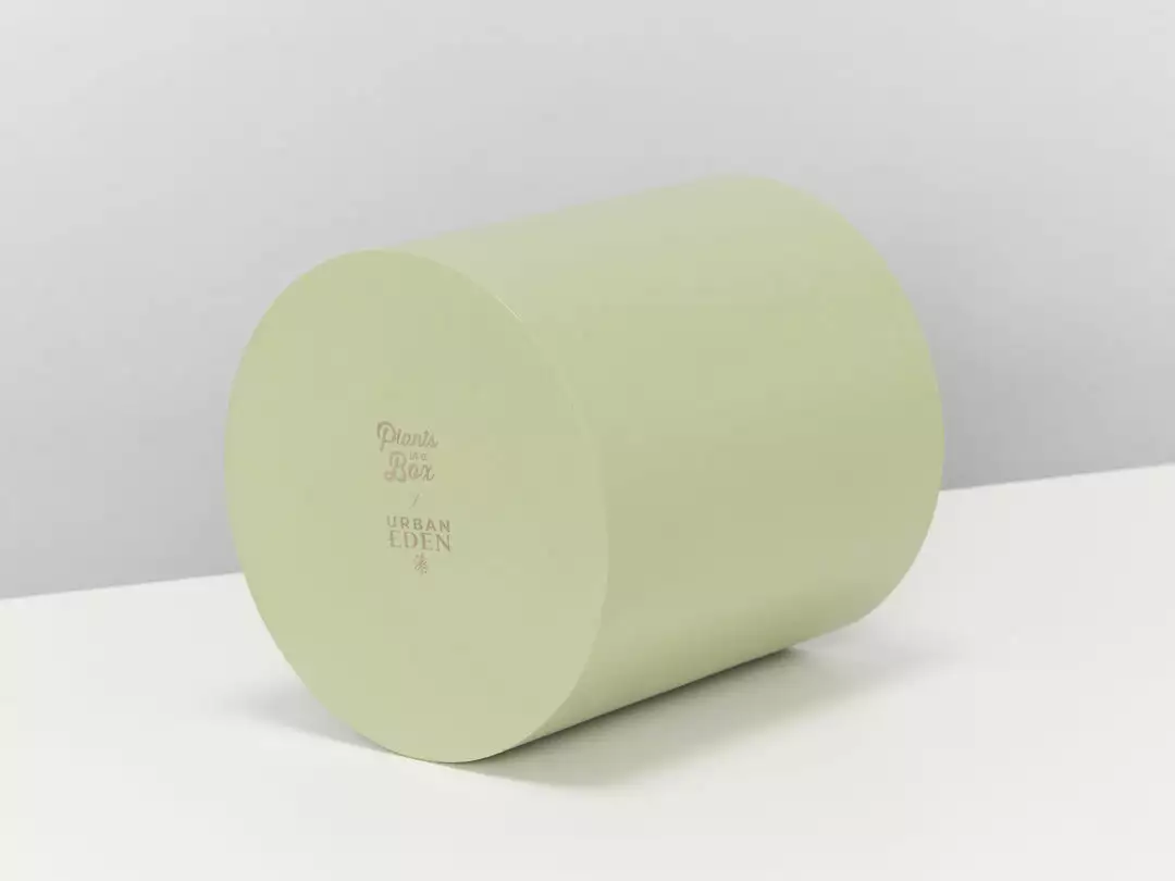 Urban Eden Sage Vessel + Potted Plant 10 Urban Eden Sage Vessel + Potted Plant