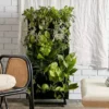 Indoor Garden Gift Kits Greenwall Kit - Includes Plants
