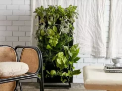 Indoor Garden Gift Kits Greenwall Kit - Includes Plants