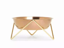 Bendo Best Selling Gifts The WOOF Dog Bowl - MIX 'N MATCH