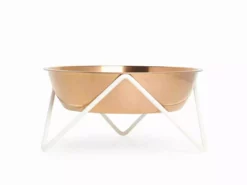 Bendo Best Selling Gifts The WOOF Dog Bowl - MIX 'N MATCH