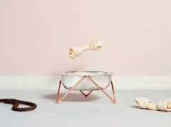 Bendo Best Selling Gifts The WOOF Dog Bowl - MIX 'N MATCH