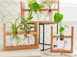 Cooper And Smith Arwen Handcrafted Propagation Stations - 3 Pack