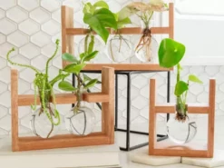 Cooper And Smith Arwen Propagation Station