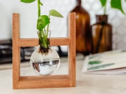 Cooper And Smith Arwen Propagation Station