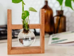 Cooper And Smith Arwen Handcrafted Propagation Stations - 3 Pack