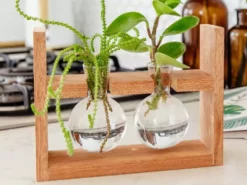 Cooper And Smith Arwen Propagation Station