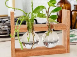 Cooper And Smith Arwen Handcrafted Propagation Stations - 3 Pack