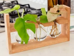 Cooper And Smith Arwen Propagation Station