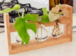 Cooper And Smith Arwen Handcrafted Propagation Stations - 3 Pack