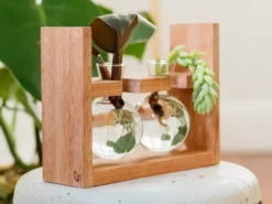 Cooper And Smith Arwen Handcrafted Propagation Stations - 3 Pack