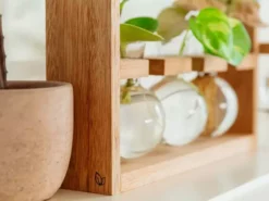 Cooper And Smith Arwen Propagation Station