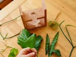 Cooper And Smith Arwen Handcrafted Propagation Stations - 3 Pack