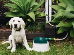 Hoselink Auto-fill Pet Bowl + 5m Hose & Tap Connector Hoses & Sprinklers