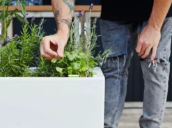 GLOWPEAR PTY LTD Outdoor Living Cafe Planter