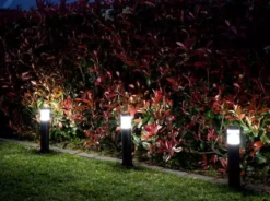 Hoselink Solar Garden Path Lights - Cool White (3 Pack)