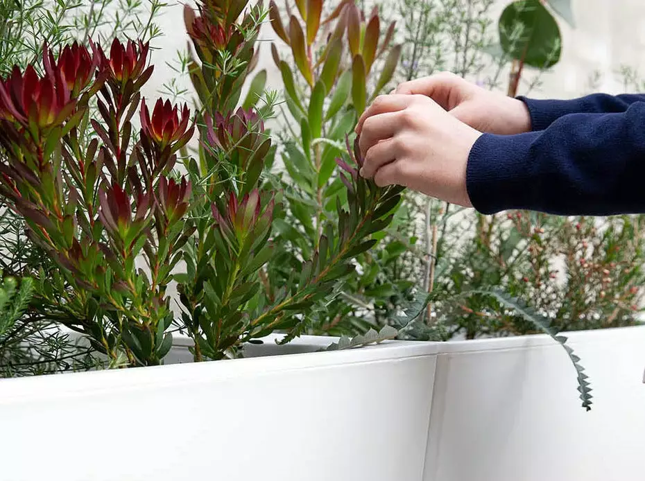 GLOWPEAR PTY LTD Pilbara Planter Outdoor Living 6 GLOWPEAR PTY LTD Pilbara Planter Outdoor Living