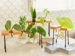 Cooper And Smith Fleur Propagation Station Propagation Stations