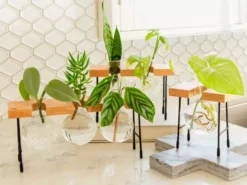 Cooper And Smith Fleur Propagation Station - 3 Pack