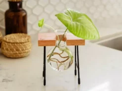 Cooper And Smith Fleur Propagation Station Propagation Stations