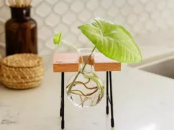 Cooper And Smith Fleur Propagation Station - 3 Pack 14 Cooper And Smith Fleur Propagation Station - 3 Pack