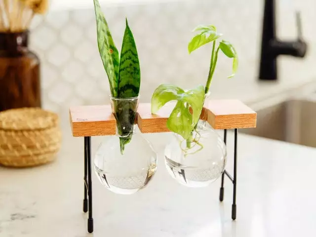 Cooper And Smith Fleur Propagation Station - 3 Pack 5 Cooper And Smith Fleur Propagation Station - 3 Pack