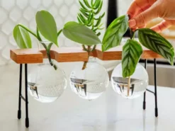 Cooper And Smith Fleur Propagation Station - 3 Pack 18 Cooper And Smith Fleur Propagation Station - 3 Pack