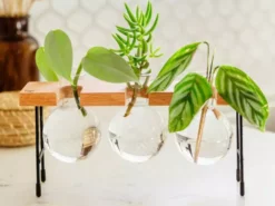 Cooper And Smith Fleur Propagation Station - 3 Pack