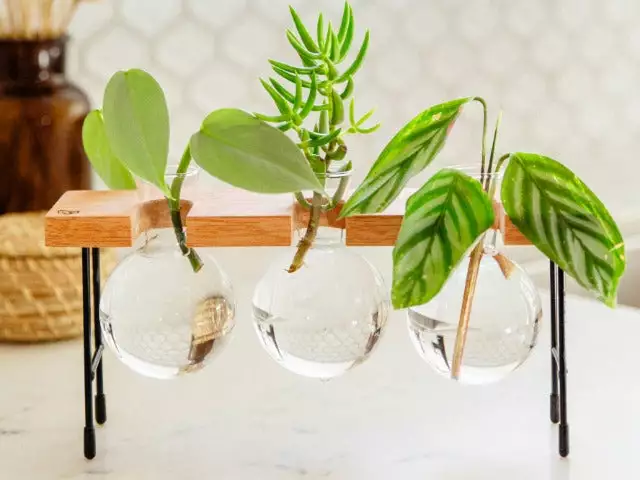 Cooper And Smith Fleur Propagation Station - 3 Pack 4 Cooper And Smith Fleur Propagation Station - 3 Pack