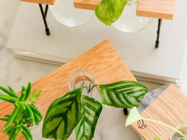 Cooper And Smith Fleur Propagation Station - 3 Pack 11 Cooper And Smith Fleur Propagation Station - 3 Pack