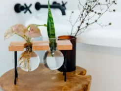 Cooper And Smith Fleur Propagation Station - 3 Pack 17 Cooper And Smith Fleur Propagation Station - 3 Pack