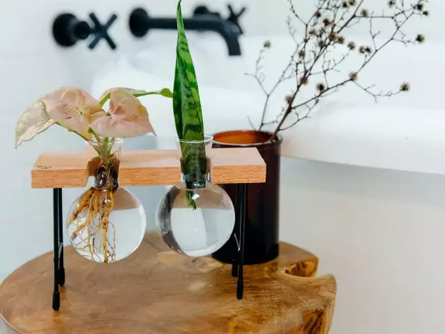 Cooper And Smith Fleur Propagation Station - 3 Pack 9 Cooper And Smith Fleur Propagation Station - 3 Pack