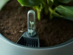 Indoor Garden Self-Watering Eco ♻️ Hanging Planter - Pot + Plant + Soil Office & Home Office