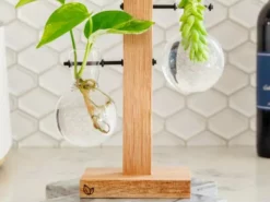 Cooper And Smith Harper Propagation Station