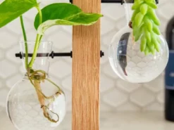 Cooper And Smith Propagation Stations Harper Propagation Station - 3 Pack