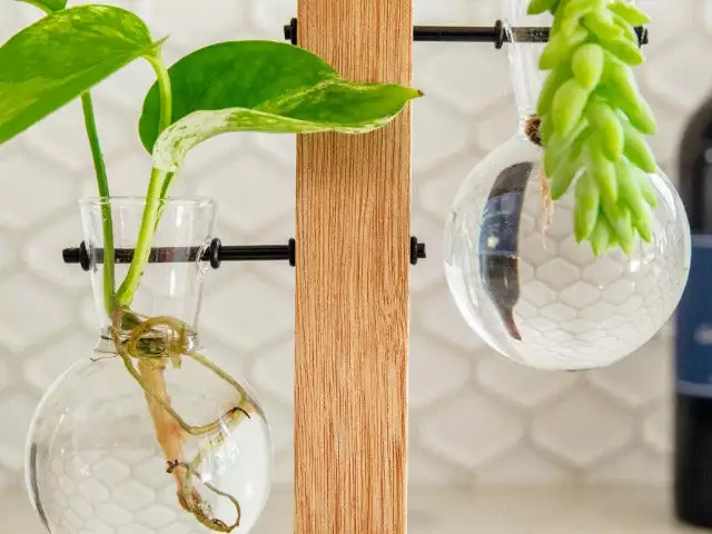 Cooper And Smith Harper Propagation Station 5 Cooper And Smith Harper Propagation Station