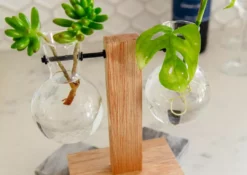 Cooper And Smith Harper Propagation Station 12 Cooper And Smith Harper Propagation Station