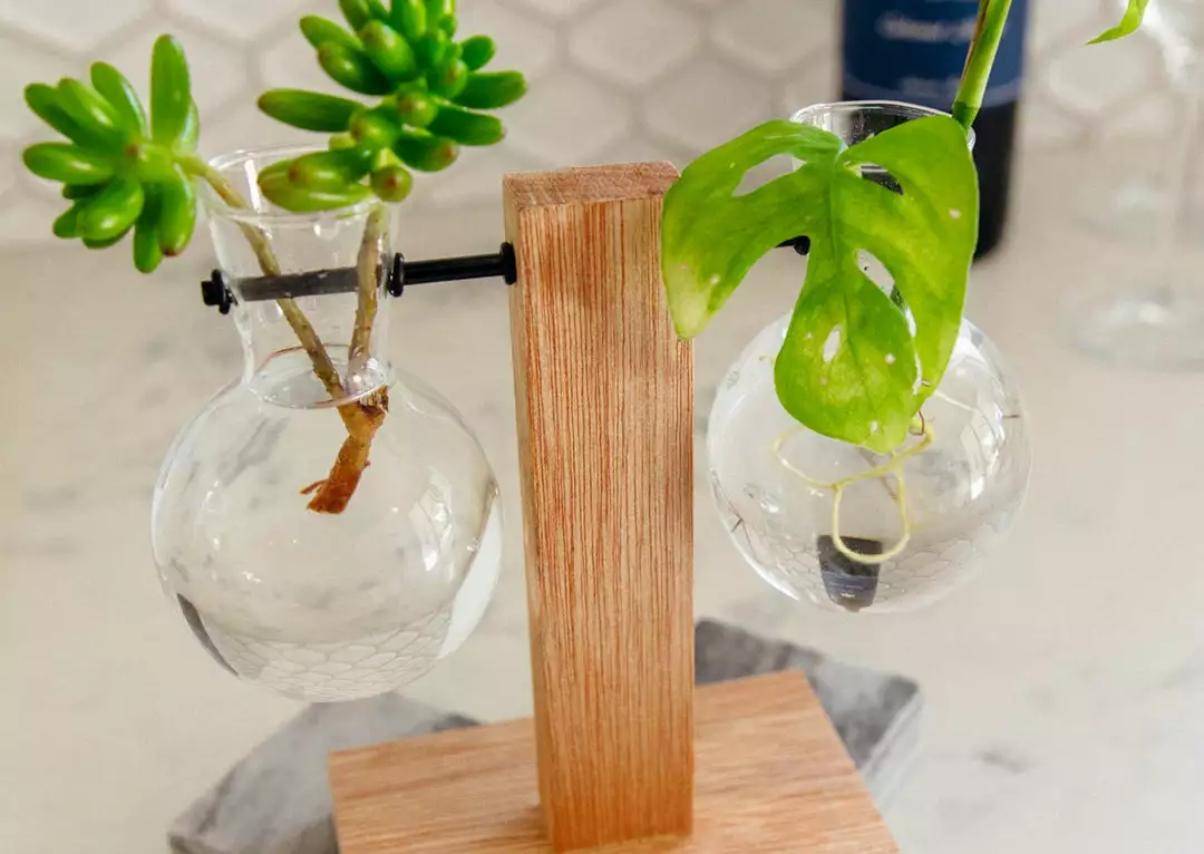 Cooper And Smith Harper Propagation Station 6 Cooper And Smith Harper Propagation Station